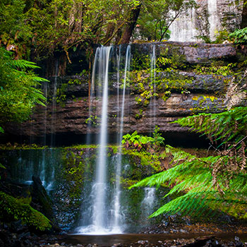Russell Falls, Photo Tour