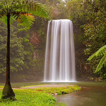 Milla Milla Falls, Atherton Tablelands, Cairns Photography Tours